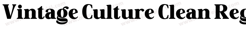 Vintage Culture Clean Regular字体转换